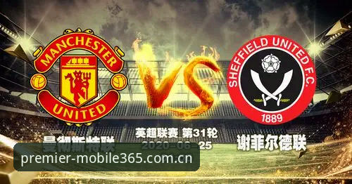mobile365英超电脑版登录完整指南：从赛事数据到账号安全的12个关键细节